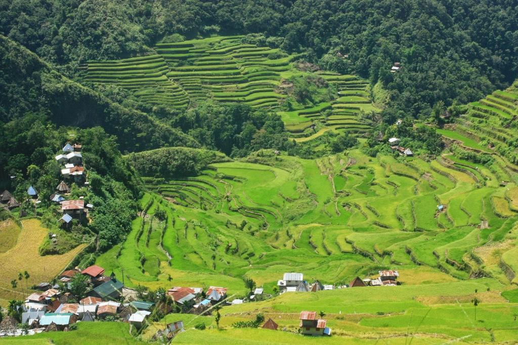 Batad Transient House Hotel Banaue Bagian luar foto