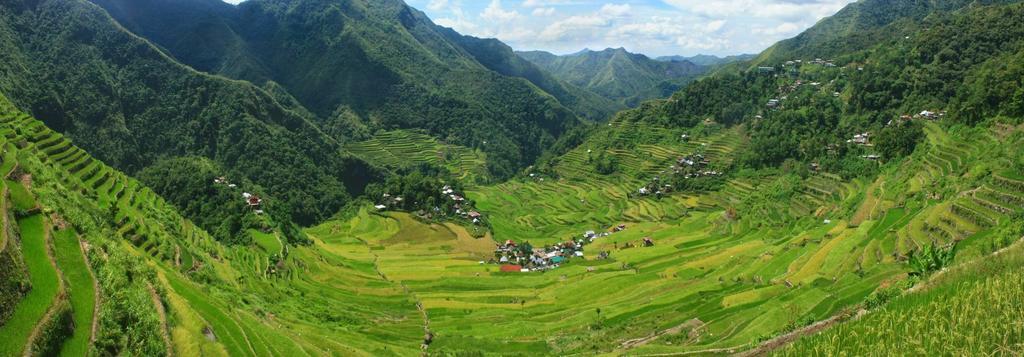 Batad Transient House Hotel Banaue Bagian luar foto