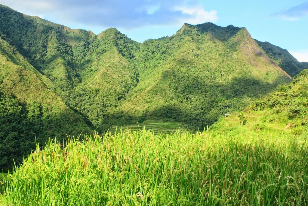 Batad Transient House Hotel Banaue Bagian luar foto