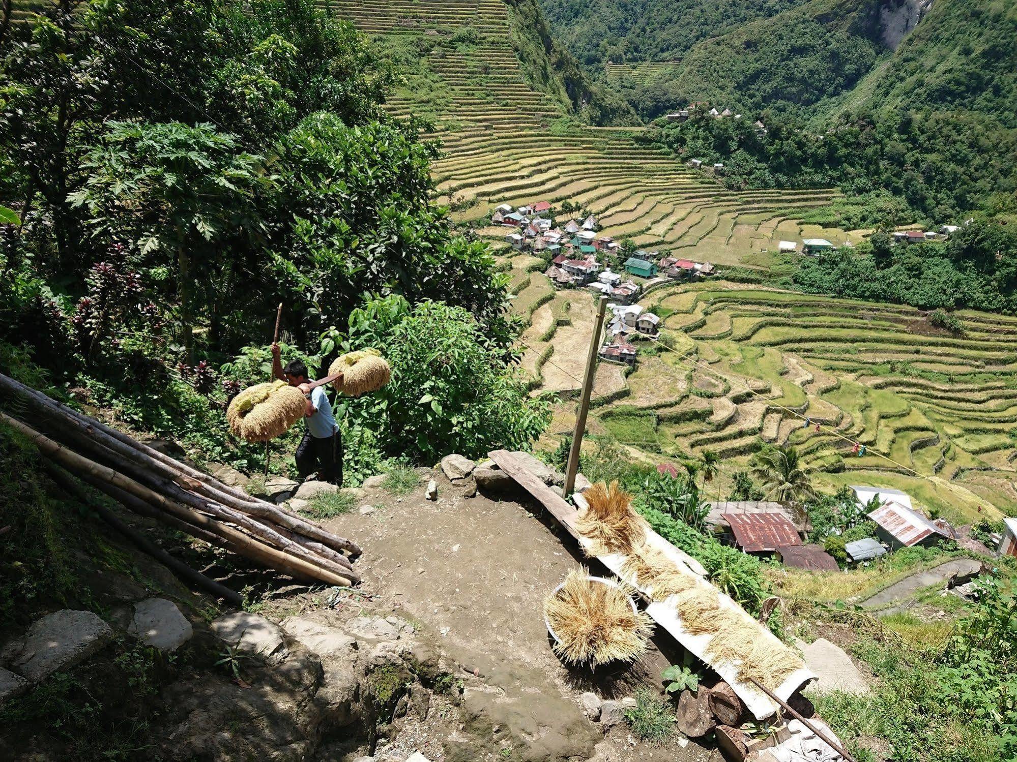 Batad Transient House Hotel Banaue Bagian luar foto