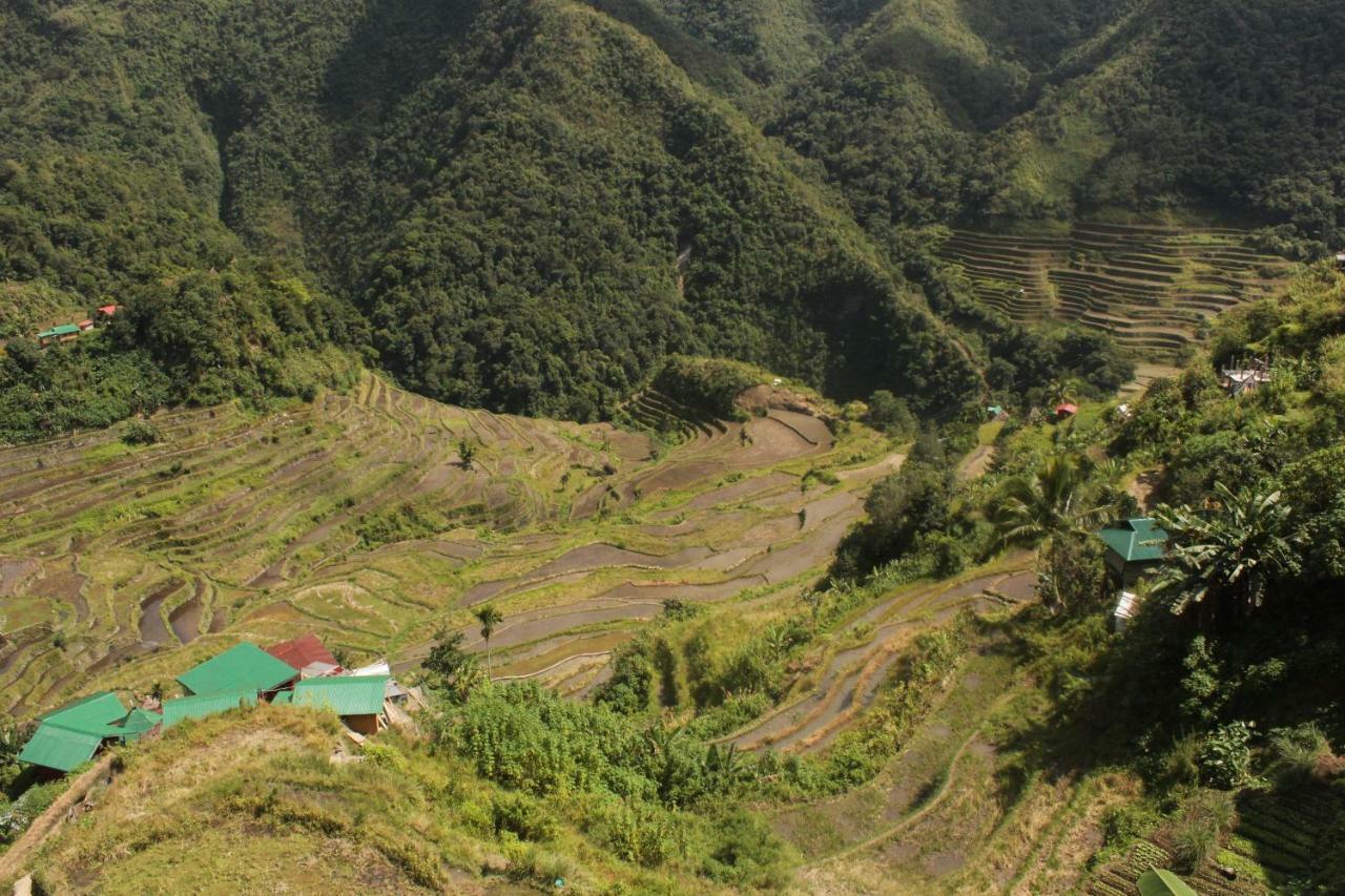 Batad Transient House Hotel Banaue Bagian luar foto